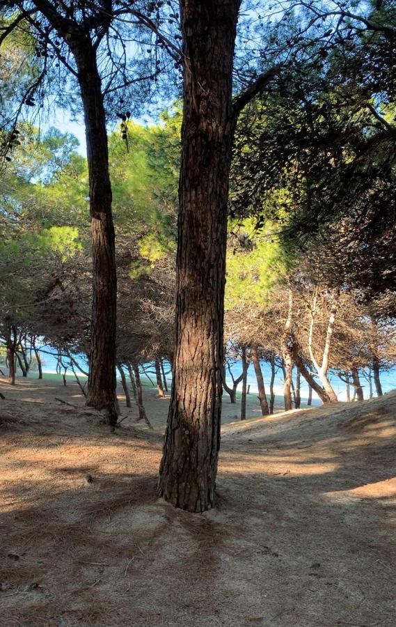 Attico Il Gabbiano Rivabella Gallipoli Apartment Luaran gambar